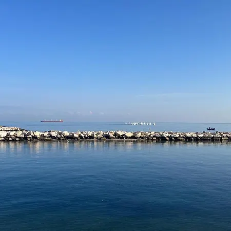 Haven By Gaia * בארי